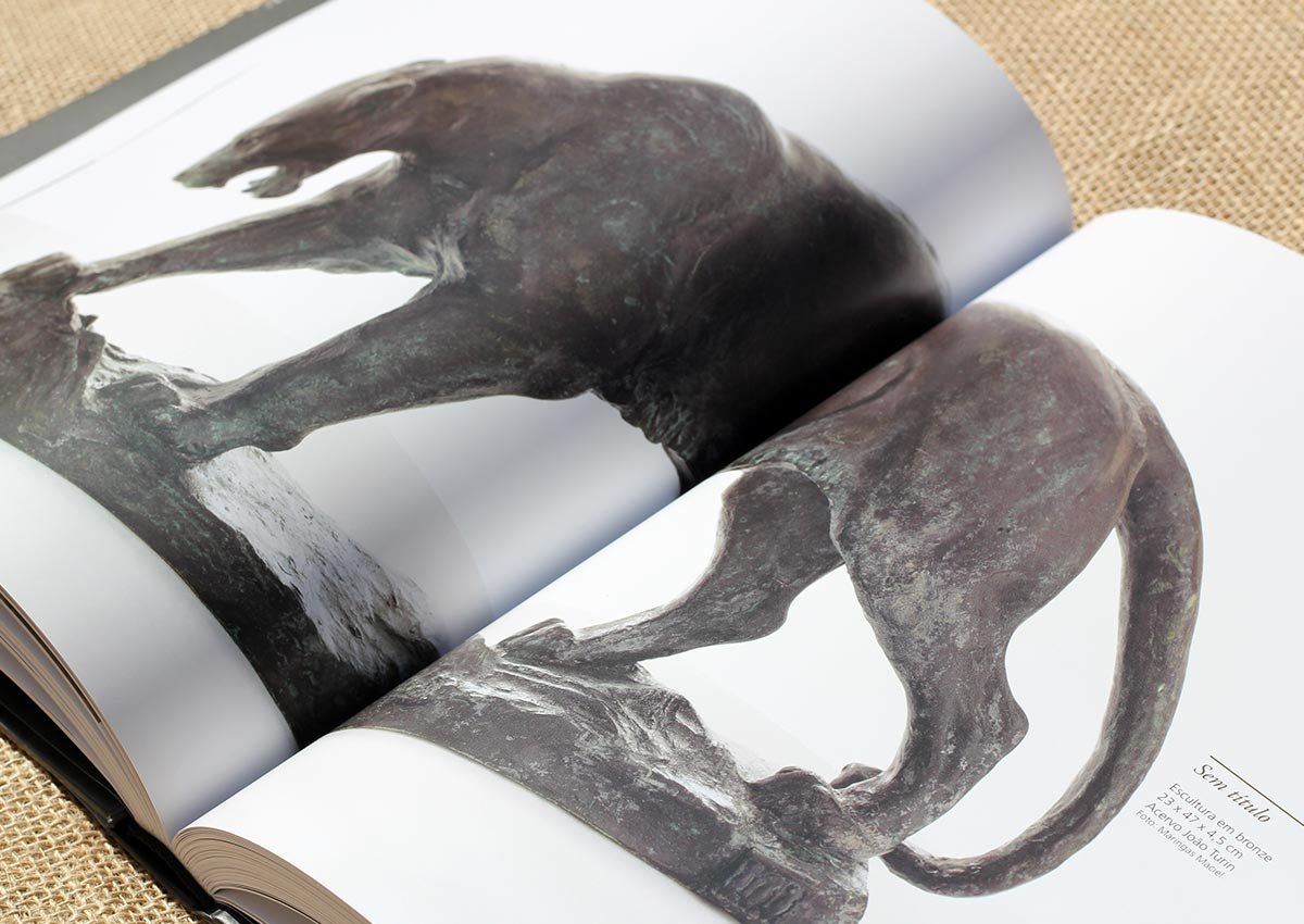 João Turin – Vida, obra, arte – Livro