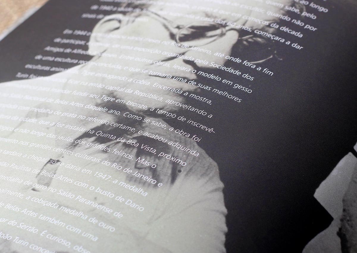 João Turin – Vida, obra, arte – Livro